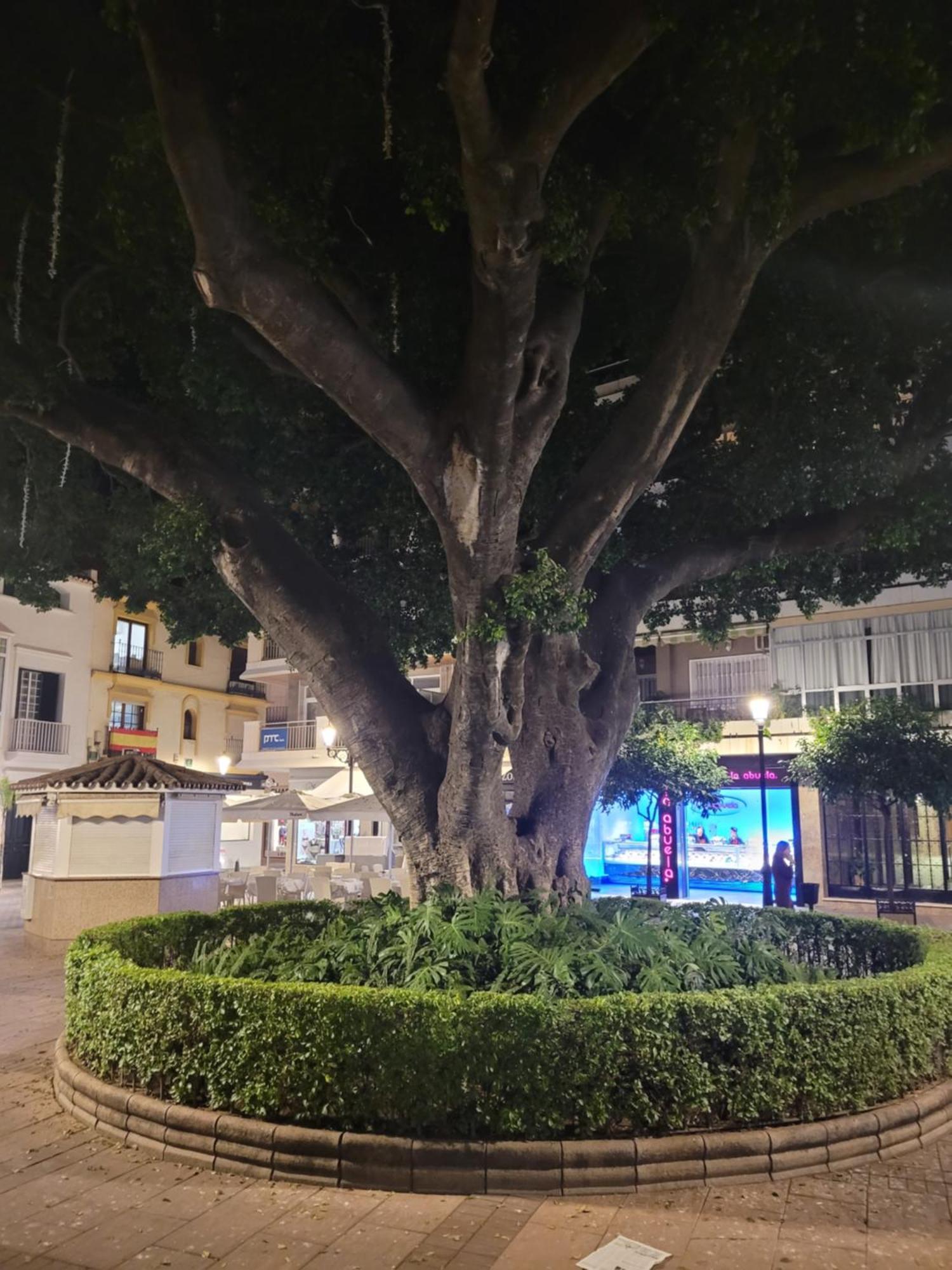 Fuengirola Center Sweet&Beach エクステリア 写真